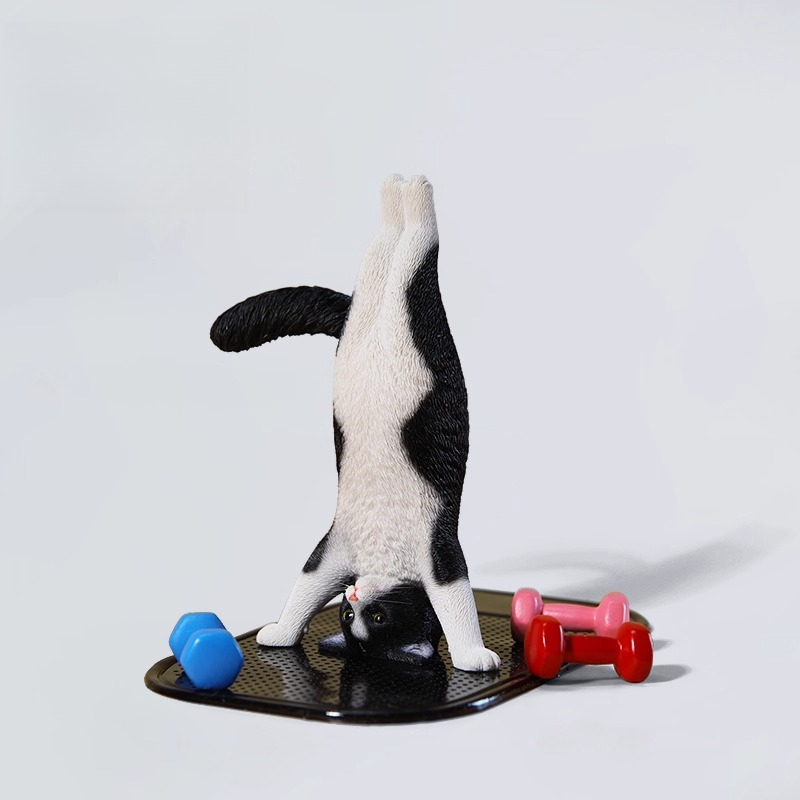 1/6 Scale Mini Simulated Fitne - Yoga Fitness First recension och pris