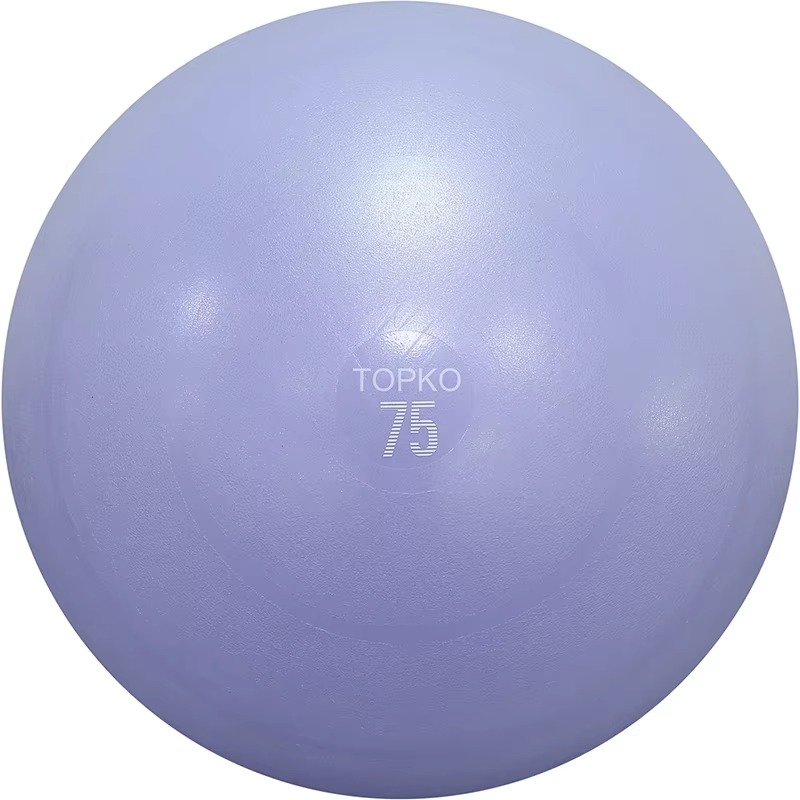 YTYIN TOPKO Yoga Ball Exercise - Exercise Ball Stability recension och pris