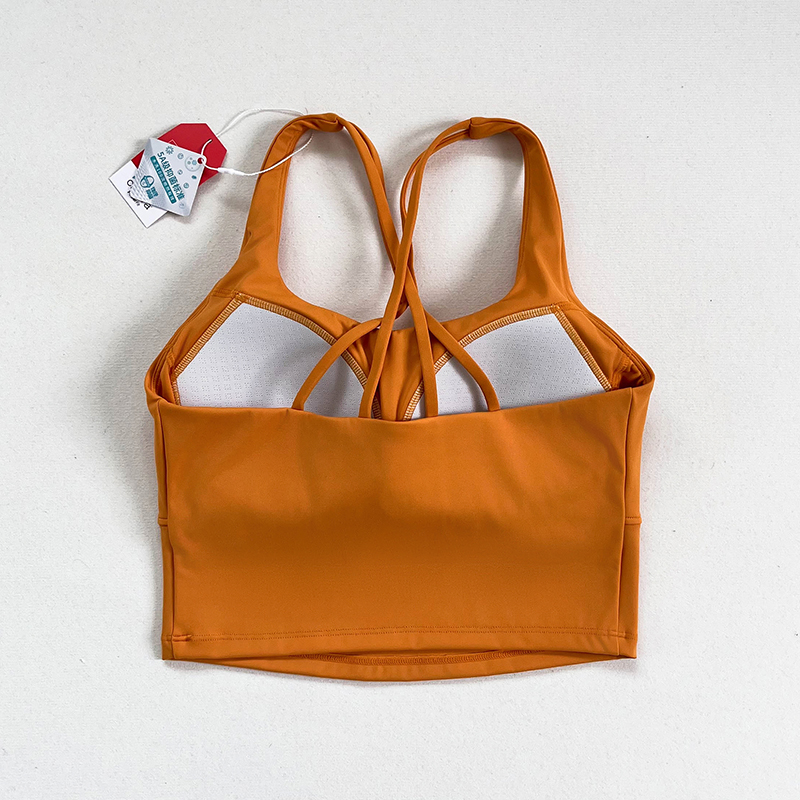 A Yoga Fitness Bra, A Professi - Yoga Fitness Training recension och pris